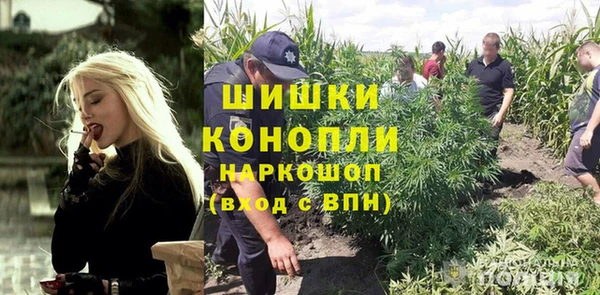 винт Коряжма