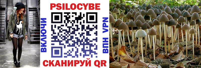 Псилоцибиновые грибы прущие грибы  Купить  Тетюши 